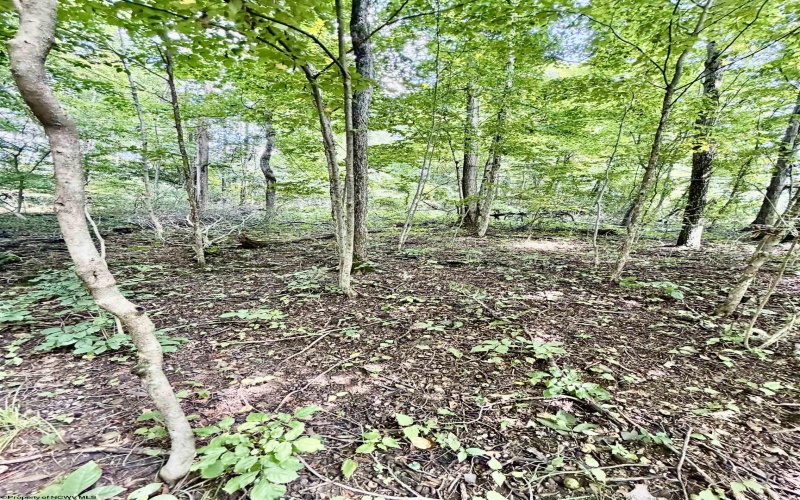 212 Stoney Lane, Morgantown, West Virginia 26508, 0 , 0 ,0,Lots/land,For Sale,Stoney,0,10166340 212 Stoney Lane, Morgantown, West Virginia 26508, 0 , 0 ,0,Lots/land,For Sale,Stoney,0,10166340