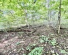 212 Stoney Lane, Morgantown, West Virginia 26508, 0 , 0 ,0,Lots/land,For Sale,Stoney,0,10166340 212 Stoney Lane, Morgantown, West Virginia 26508, 0 , 0 ,0,Lots/land,For Sale,Stoney,0,10166340