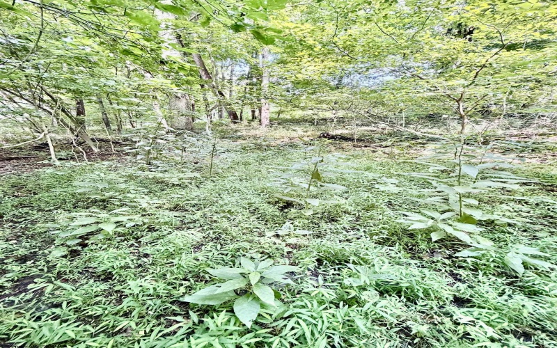 212 Stoney Lane, Morgantown, West Virginia 26508, 0 , 0 ,0,Lots/land,For Sale,Stoney,0,10166340 212 Stoney Lane, Morgantown, West Virginia 26508, 0 , 0 ,0,Lots/land,For Sale,Stoney,0,10166340