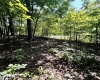 212 Stoney Lane, Morgantown, West Virginia 26508, 0 , 0 ,0,Lots/land,For Sale,Stoney,0,10166340 212 Stoney Lane, Morgantown, West Virginia 26508, 0 , 0 ,0,Lots/land,For Sale,Stoney,0,10166340