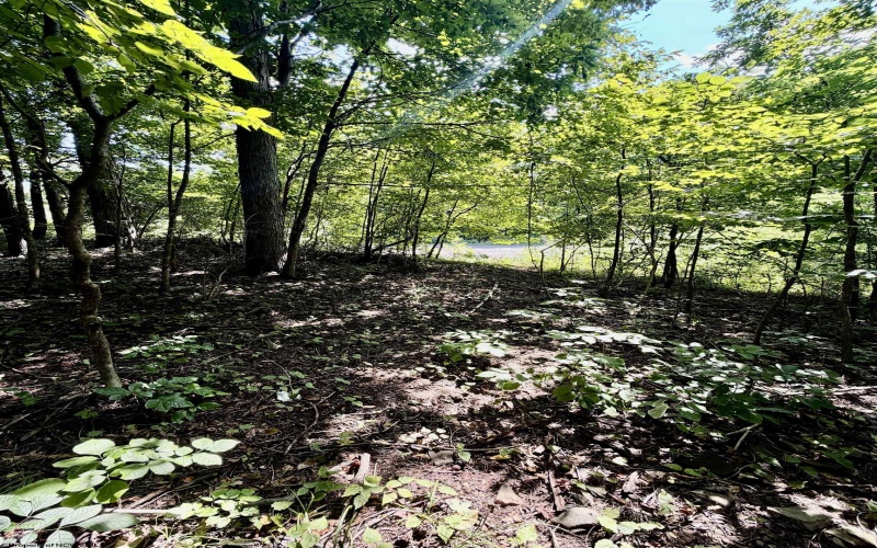 212 Stoney Lane, Morgantown, West Virginia 26508, 0 , 0 ,0,Lots/land,For Sale,Stoney,0,10166340 212 Stoney Lane, Morgantown, West Virginia 26508, 0 , 0 ,0,Lots/land,For Sale,Stoney,0,10166340