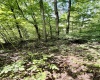 212 Stoney Lane, Morgantown, West Virginia 26508, 0 , 0 ,0,Lots/land,For Sale,Stoney,0,10166340 212 Stoney Lane, Morgantown, West Virginia 26508, 0 , 0 ,0,Lots/land,For Sale,Stoney,0,10166340