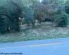 1672 Milford Street, Clarksburg, West Virginia 26301-5600, 0 , 0 ,0,Lots/land,For Sale,Milford,0,10166345