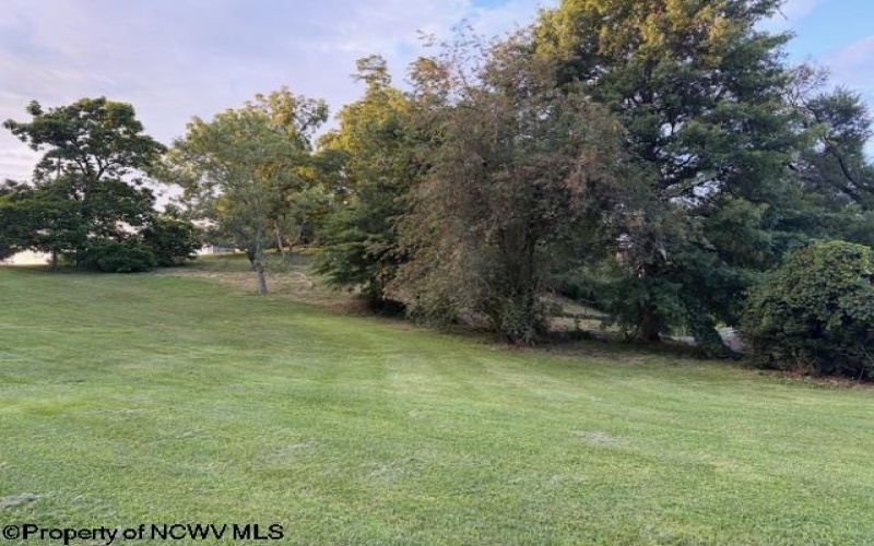 1672 Milford Street, Clarksburg, West Virginia 26301-5600, 0 , 0 ,0,Lots/land,For Sale,Milford,0,10166345
