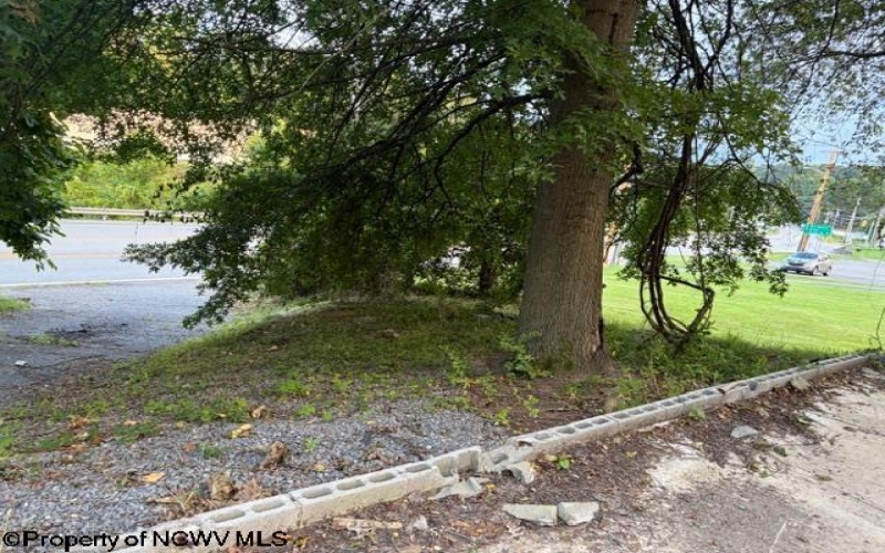 1672 Milford Street, Clarksburg, West Virginia 26301-5600, 0 , 0 ,0,Lots/land,For Sale,Milford,0,10166345