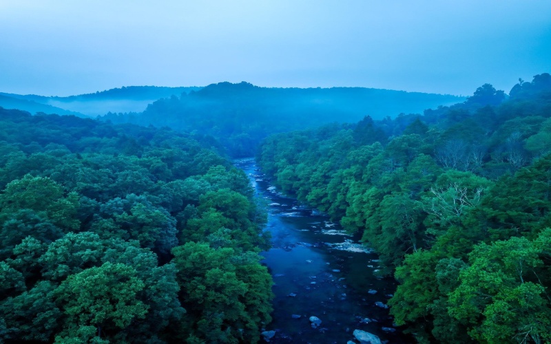 TBD Rising Sun Lane, Bruceton Mills, West Virginia 26525, 0 , 0 ,0,Lots/land,For Sale,Rising Sun,0,10166350