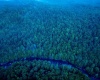 TBD Rising Sun Lane, Bruceton Mills, West Virginia 26525, 0 , 0 ,0,Lots/land,For Sale,Rising Sun,0,10166350