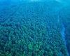 TBD Rising Sun Lane, Bruceton Mills, West Virginia 26525, 0 , 0 ,0,Lots/land,For Sale,Rising Sun,0,10166350