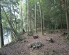 TBD Rising Sun Lane, Bruceton Mills, West Virginia 26525, 0 , 0 ,0,Lots/land,For Sale,Rising Sun,0,10166350