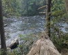 TBD Rising Sun Lane, Bruceton Mills, West Virginia 26525, 0 , 0 ,0,Lots/land,For Sale,Rising Sun,0,10166350
