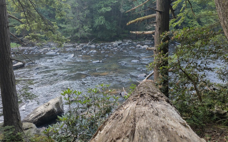 TBD Rising Sun Lane, Bruceton Mills, West Virginia 26525, 0 , 0 ,0,Lots/land,For Sale,Rising Sun,0,10166350