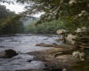 TBD Rising Sun Lane, Bruceton Mills, West Virginia 26525, 0 , 0 ,0,Lots/land,For Sale,Rising Sun,0,10166350