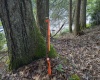 TBD Rising Sun Lane, Bruceton Mills, West Virginia 26525, 0 , 0 ,0,Lots/land,For Sale,Rising Sun,0,10166350