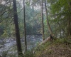 TBD Rising Sun Lane, Bruceton Mills, West Virginia 26525, 0 , 0 ,0,Lots/land,For Sale,Rising Sun,0,10166350