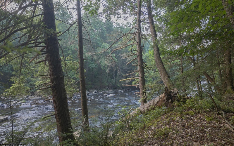 TBD Rising Sun Lane, Bruceton Mills, West Virginia 26525, 0 , 0 ,0,Lots/land,For Sale,Rising Sun,0,10166350