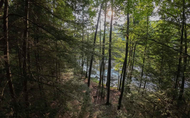 TBD Rising Sun Lane, Bruceton Mills, West Virginia 26525, 0 , 0 ,0,Lots/land,For Sale,Rising Sun,0,10166350