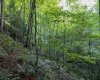 TBD Rising Sun Lane, Bruceton Mills, West Virginia 26525, 0 , 0 ,0,Lots/land,For Sale,Rising Sun,0,10166350
