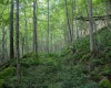 TBD Rising Sun Lane, Bruceton Mills, West Virginia 26525, 0 , 0 ,0,Lots/land,For Sale,Rising Sun,0,10166350
