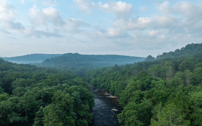 TBD Rising Sun Lane, Bruceton Mills, West Virginia 26525, 0 , 0 ,0,Lots/land,For Sale,Rising Sun,0,10166350
