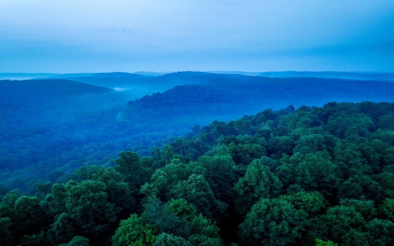 TBD Rising Sun Lane, Bruceton Mills, West Virginia 26525, 0 , 0 ,0,Lots/land,For Sale,Rising Sun,0,10166350