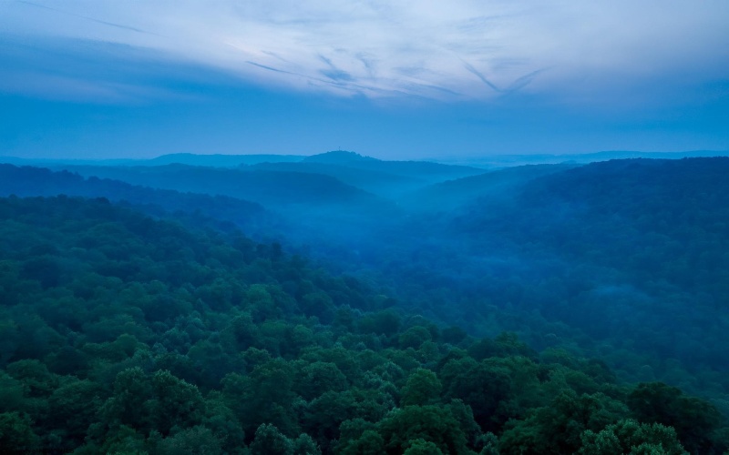 TBD Rising Sun Lane, Bruceton Mills, West Virginia 26525, 0 , 0 ,0,Lots/land,For Sale,Rising Sun,0,10166350