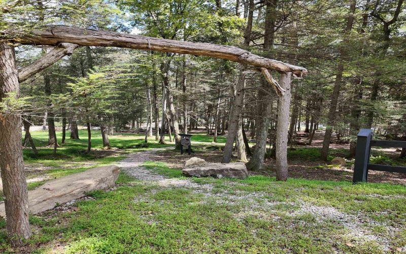 TBD Rising Sun Lane, Bruceton Mills, West Virginia 26525, 0 , 0 ,0,Lots/land,For Sale,Rising Sun,0,10166350