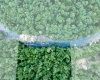 TBD Rising Sun Lane, Bruceton Mills, West Virginia 26525, 0 , 0 ,0,Lots/land,For Sale,Rising Sun,0,10166350