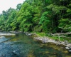 TBD Rising Sun Lane, Bruceton Mills, West Virginia 26525, 0 , 0 ,0,Lots/land,For Sale,Rising Sun,0,10166350