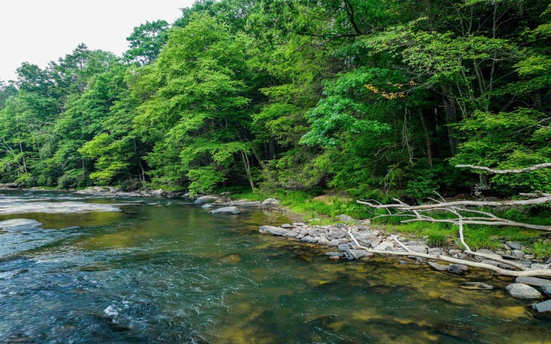 TBD Rising Sun Lane, Bruceton Mills, West Virginia 26525, 0 , 0 ,0,Lots/land,For Sale,Rising Sun,0,10166350