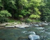 TBD Rising Sun Lane, Bruceton Mills, West Virginia 26525, 0 , 0 ,0,Lots/land,For Sale,Rising Sun,0,10166350