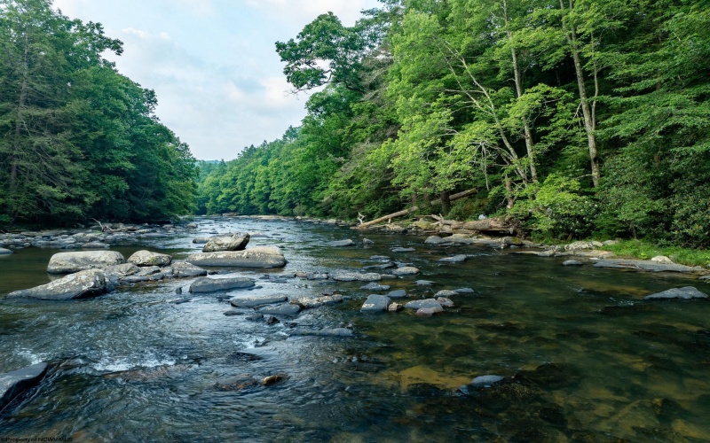 TBD Rising Sun Lane, Bruceton Mills, West Virginia 26525, 0 , 0 ,0,Lots/land,For Sale,Rising Sun,0,10166350