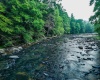 TBD Rising Sun Lane, Bruceton Mills, West Virginia 26525, 0 , 0 ,0,Lots/land,For Sale,Rising Sun,0,10166350