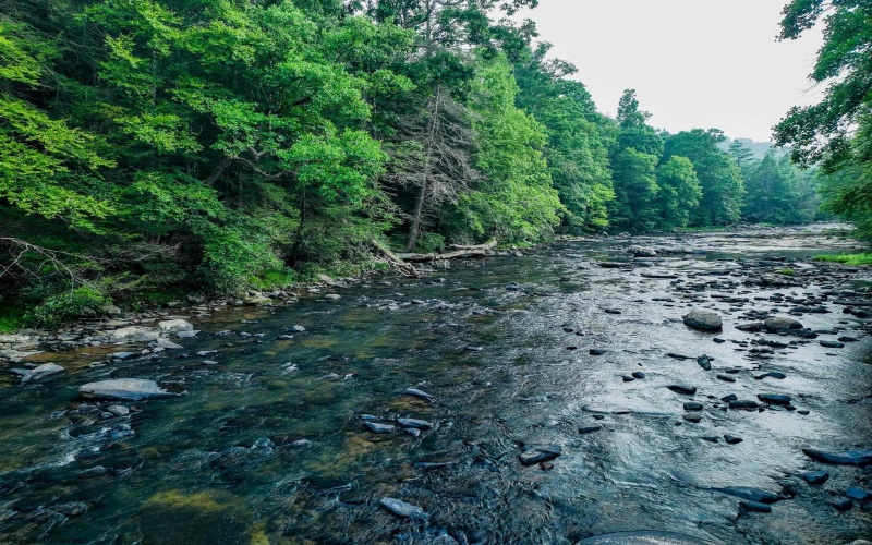 TBD Rising Sun Lane, Bruceton Mills, West Virginia 26525, 0 , 0 ,0,Lots/land,For Sale,Rising Sun,0,10166350