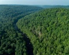TBD Rising Sun Lane, Bruceton Mills, West Virginia 26525, 0 , 0 ,0,Lots/land,For Sale,Rising Sun,0,10166350
