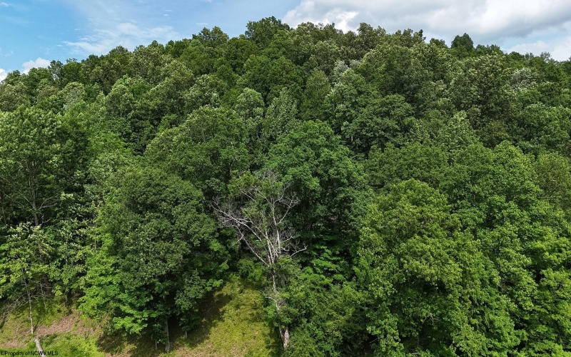 407 Soap Hollow Road, Mannington, West Virginia 26582, 5 Bedrooms Bedrooms, 10 Rooms Rooms,2 BathroomsBathrooms,Single Family Detached,For Sale,Soap Hollow,0,10165437