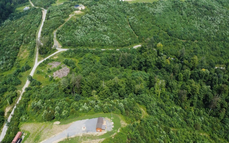 0 Burch Hill Road, Terra Alta, West Virginia 26764, 0 , 0 ,0,Lots/land,For Sale,Burch Hill,0,10166367