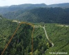 0 Burch Hill Road, Terra Alta, West Virginia 26764, 0 , 0 ,0,Lots/land,For Sale,Burch Hill,0,10166367