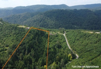 0 Burch Hill Road, Terra Alta, West Virginia 26764, 0 , 0 ,0,Lots/land,For Sale,Burch Hill,0,10166367