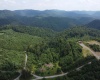 0 Burch Hill Road, Terra Alta, West Virginia 26764, 0 , 0 ,0,Lots/land,For Sale,Burch Hill,0,10166367