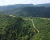 0 Burch Hill Road, Terra Alta, West Virginia 26764, 0 , 0 ,0,Lots/land,For Sale,Burch Hill,0,10166367
