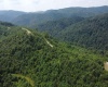 0 Burch Hill Road, Terra Alta, West Virginia 26764, 0 , 0 ,0,Lots/land,For Sale,Burch Hill,0,10166367