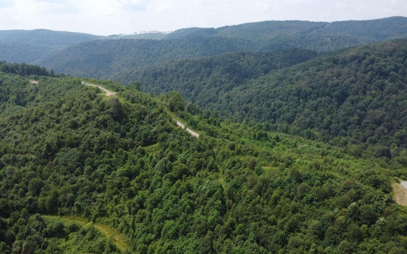 0 Burch Hill Road, Terra Alta, West Virginia 26764, 0 , 0 ,0,Lots/land,For Sale,Burch Hill,0,10166367