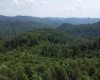 0 Burch Hill Road, Terra Alta, West Virginia 26764, 0 , 0 ,0,Lots/land,For Sale,Burch Hill,0,10166367