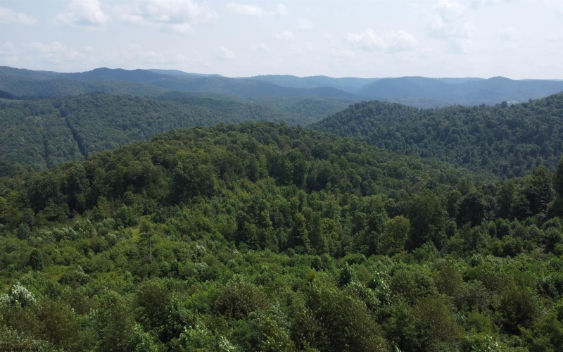 0 Burch Hill Road, Terra Alta, West Virginia 26764, 0 , 0 ,0,Lots/land,For Sale,Burch Hill,0,10166367