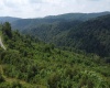 0 Burch Hill Road, Terra Alta, West Virginia 26764, 0 , 0 ,0,Lots/land,For Sale,Burch Hill,0,10166367