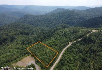 31 Burch Hill Road, Terra Alta, West Virginia 26764, 0 , 0 ,0,Lots/land,For Sale,Burch Hill,0,10166366