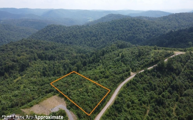 31 Burch Hill Road, Terra Alta, West Virginia 26764, 0 , 0 ,0,Lots/land,For Sale,Burch Hill,0,10166366