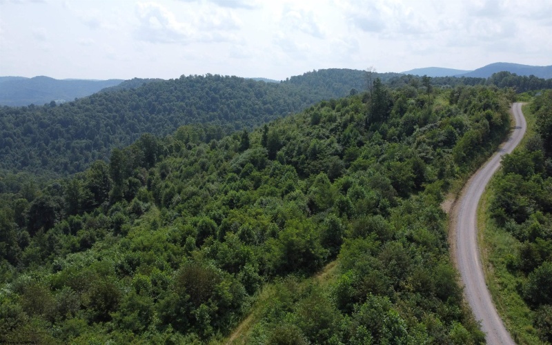31 Burch Hill Road, Terra Alta, West Virginia 26764, 0 , 0 ,0,Lots/land,For Sale,Burch Hill,0,10166366