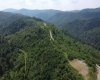 31 Burch Hill Road, Terra Alta, West Virginia 26764, 0 , 0 ,0,Lots/land,For Sale,Burch Hill,0,10166366