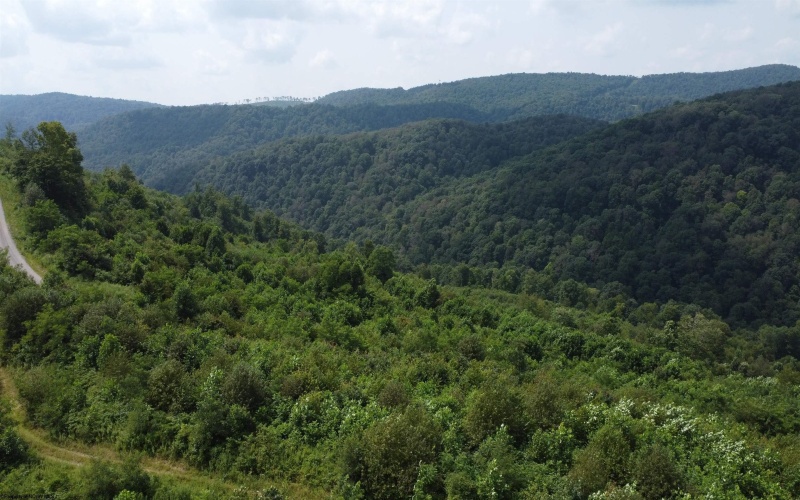 31 Burch Hill Road, Terra Alta, West Virginia 26764, 0 , 0 ,0,Lots/land,For Sale,Burch Hill,0,10166366